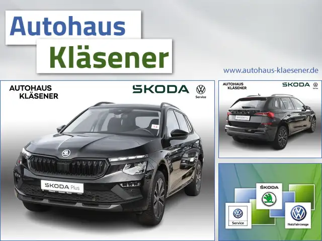 Skoda Kamiq Drive 1.0TSI 85KW MATRIX ASSISTS KAM VC LM