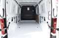 Nissan Interstar fwd 35 2.0 dci 150cv L3H2 N Connecta - AUTOCARRO Blanco - thumbnail 14