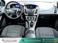 Ford Focus SYNC Edition |AUS 1. HAND|KLIMA|SHZ|PDC Blau - thumbnail 11