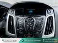 Ford Focus SYNC Edition |AUS 1. HAND|KLIMA|SHZ|PDC Blau - thumbnail 16