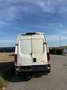 Iveco Daili - thumbnail 4