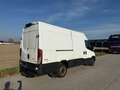 Iveco Daili - thumbnail 3