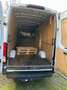 Iveco Daili - thumbnail 5