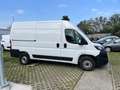 Fiat Ducato Ducato 35 2.2 Mjt 140CV PLM-TA Furgone Alb - thumbnail 4