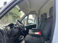 Fiat Ducato Ducato 35 2.2 Mjt 140CV PLM-TA Furgone Alb - thumbnail 14