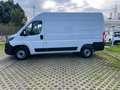 Fiat Ducato Ducato 35 2.2 Mjt 140CV PLM-TA Furgone Alb - thumbnail 6