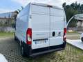 Fiat Ducato Ducato 35 2.2 Mjt 140CV PLM-TA Furgone Alb - thumbnail 8