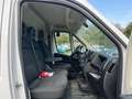 Fiat Ducato Ducato 35 2.2 Mjt 140CV PLM-TA Furgone Alb - thumbnail 15