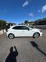 Renault Megane Mégane Blue dCi 115 CV Duel2 Blanc - thumbnail 6