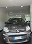 Fiat Panda Panda 1.2 Lounge 69cv Gris - thumbnail 1