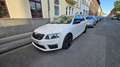 Skoda Octavia Combi 2.0 TDI (Green tec) DSG RS Weiß - thumbnail 3