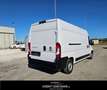 Fiat Ducato 35 2.2 Mjt 140CV L3H2 Furgone Weiß - thumbnail 4