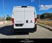 Fiat Ducato 35 2.2 Mjt 140CV L3H2 Furgone Weiß - thumbnail 6