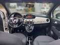 Fiat 500C MY24 1.0 GSE Hybrid 51 kW (70 PS) Blanc - thumbnail 11
