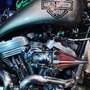 Harley-Davidson 1200 Custom Gris - thumbnail 2