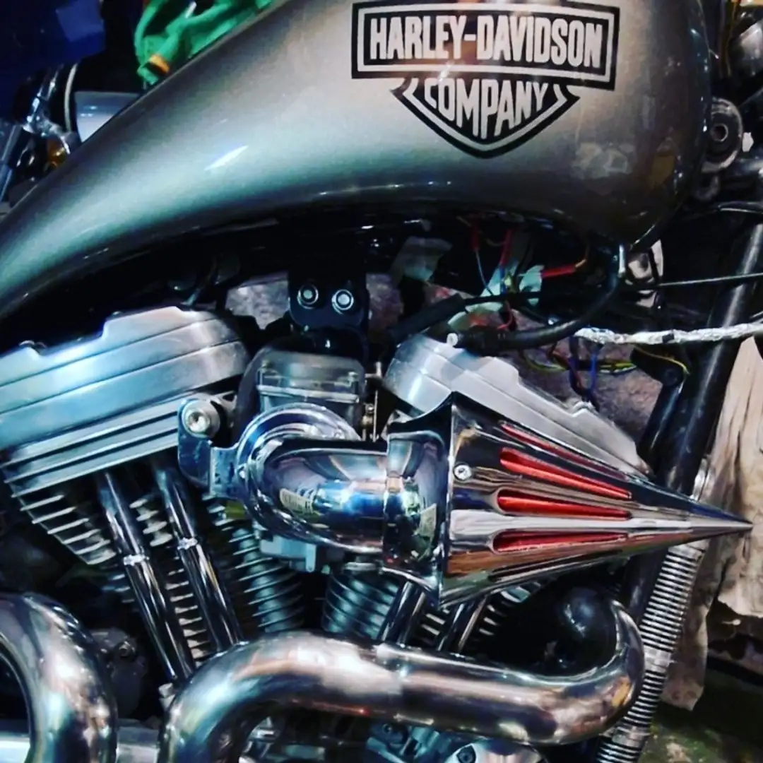 Harley-Davidson 1200 Custom Szürke - 2