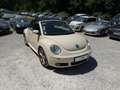 Volkswagen New Beetle 1.6i 102cv Cabriolet Wit - thumbnail 9
