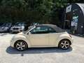 Volkswagen New Beetle 1.6i 102cv Cabriolet Wit - thumbnail 12