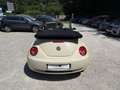 Volkswagen New Beetle 1.6i 102cv Cabriolet Білий - thumbnail 16