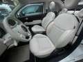 Fiat 500 Più Dolcevita Weiß - thumbnail 11