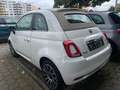 Fiat 500 Più Dolcevita Weiß - thumbnail 6