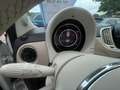 Fiat 500 Più Dolcevita Weiß - thumbnail 15