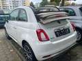 Fiat 500 Più Dolcevita Weiß - thumbnail 3