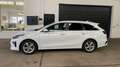 Kia Ceed SW / cee'd SW 1,4 TGDI*Kamera*Aut Weiß - thumbnail 3