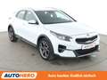 Kia XCeed 1.4 TGDI Vision*LED*TEMPO*CAM*PDC*SHZ*KLIMA* Weiß - thumbnail 8