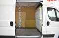 Fiat Ducato FURGÓN 3.0T L2H2 2.3 MULTIJET 120 CV Blanc - thumbnail 9