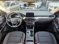 Ford Kuga 1.5 EcoBlue 120 CV 2WD Gris - thumbnail 8