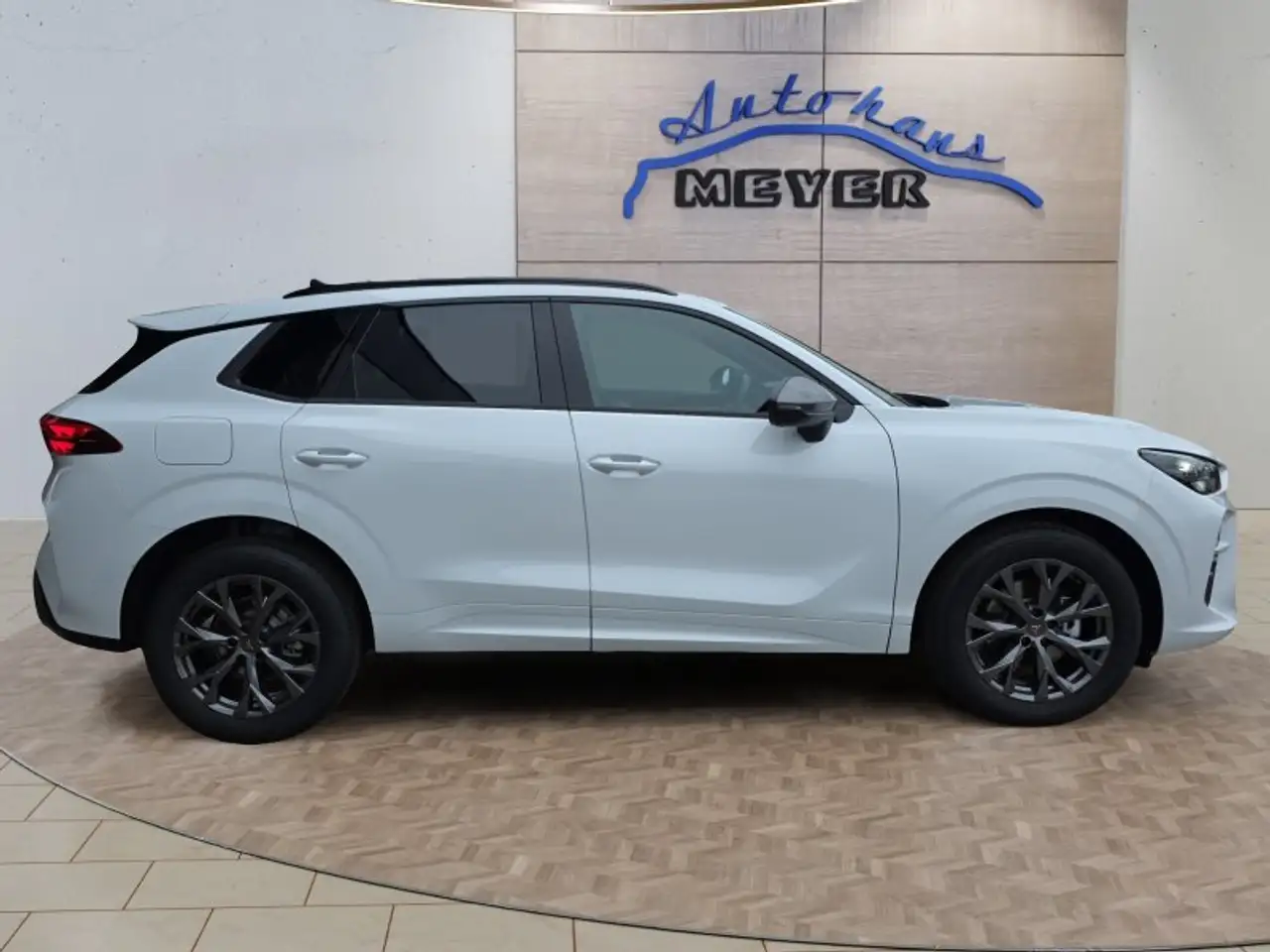 Cupra Terramar 1.5 eTSI DSG ACC/Kessy/el.Klappe/Winterp. **, миниатюра 6