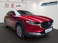 Mazda CX-30 e-SKYACTIV-G 122 AT Exclusive-L. Matrix/360 Kamera Rot - thumbnail 3