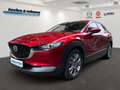 Mazda CX-30 e-SKYACTIV-G 122 AT Exclusive-L. Matrix/360 Kamera Rot - thumbnail 1