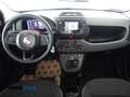 Fiat Panda 1.0 firefly hybrid 5 posti PREZZO REALE Blanc - thumbnail 12