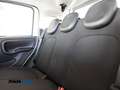 Fiat Panda 1.0 firefly hybrid 5 posti PREZZO REALE Blanc - thumbnail 10