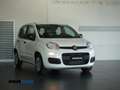 Fiat Panda 1.0 firefly hybrid 5 posti PREZZO REALE Blanc - thumbnail 1