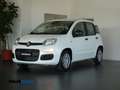 Fiat Panda 1.0 firefly hybrid 5 posti PREZZO REALE Blanc - thumbnail 3
