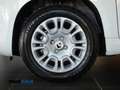 Fiat Panda 1.0 firefly hybrid 5 posti PREZZO REALE Blanc - thumbnail 7