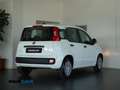 Fiat Panda 1.0 firefly hybrid 5 posti PREZZO REALE Blanc - thumbnail 6