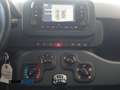 Fiat Panda 1.0 firefly hybrid 5 posti PREZZO REALE Blanc - thumbnail 13