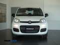 Fiat Panda 1.0 firefly hybrid 5 posti PREZZO REALE Blanc - thumbnail 2