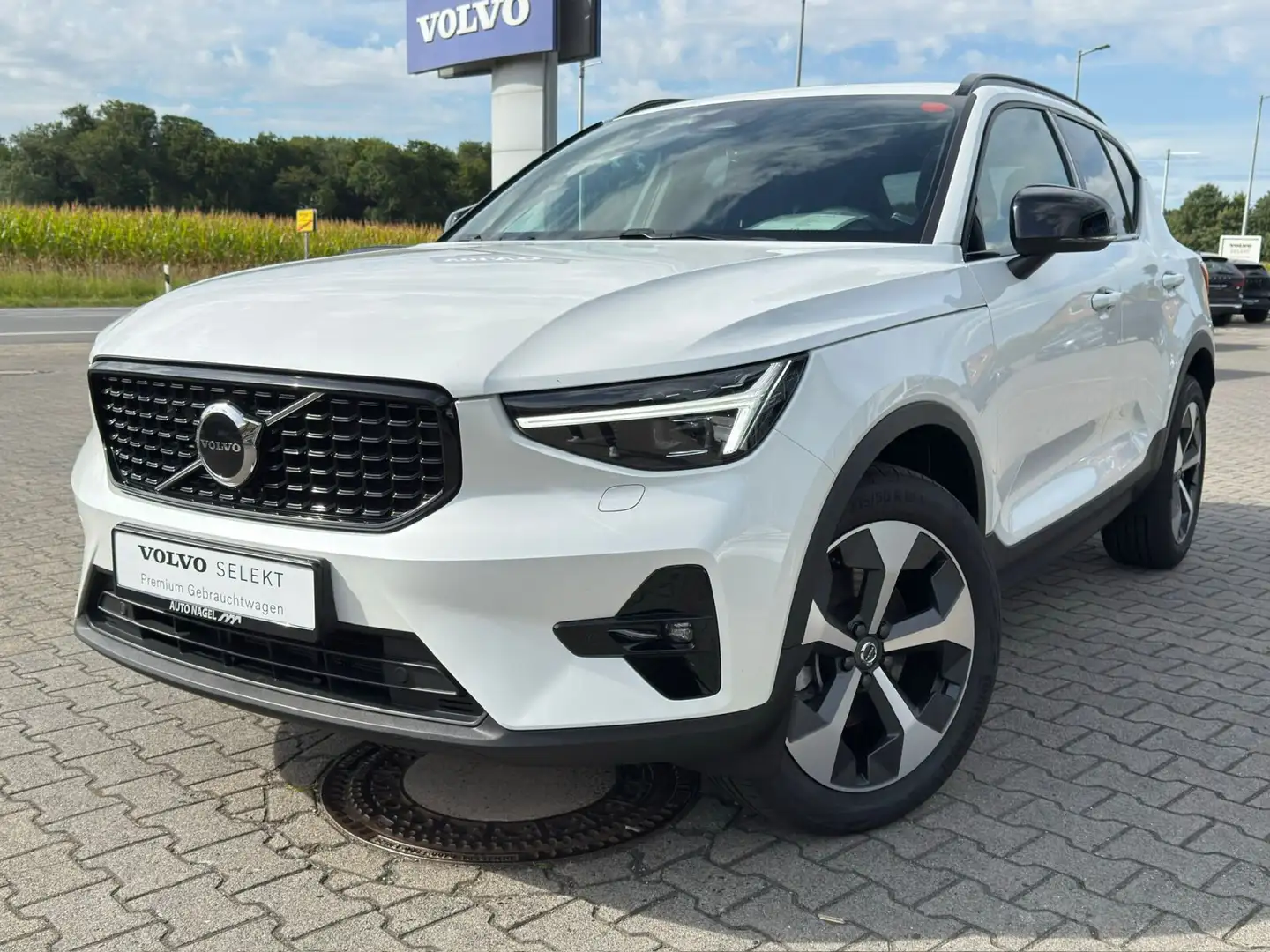 Volvo XC40 XC40 B4 Ultra Dark |ACC|BLIZ|PANO|NAVI| Weiß - 2