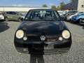 Volkswagen Lupo 1.0 Oxford, Allwetterreifen, HU 03 26 Schwarz - thumbnail 13
