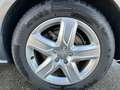 Audi A6 allroad A6 Allroad 3,0 TDI Intense Quattro tiptronic Intense Schwarz - thumbnail 10