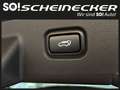 Kia Sportage 1,6 TGDI PHEV AWD GT-Line Aut. (TAGESZULASSUNG) Vert - thumbnail 9