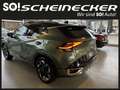 Kia Sportage 1,6 TGDI PHEV AWD GT-Line Aut. (TAGESZULASSUNG) Grün - thumbnail 3