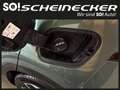 Kia Sportage 1,6 TGDI PHEV AWD GT-Line Aut. (TAGESZULASSUNG) Grün - thumbnail 11