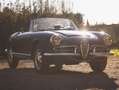 Alfa Romeo Giulia Spider Gris - thumbnail 27