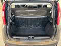 Fiat Panda 1.2 69cv S&S E6d-Temp Easy Gris - thumbnail 11